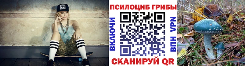 Псилоцибиновые грибы мицелий  omg ССЫЛКА  Темников  цена  